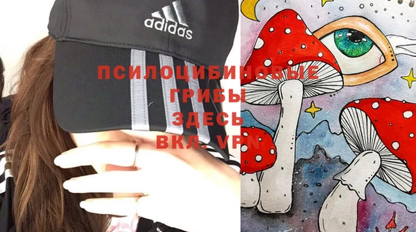 стаф Магадан