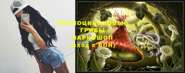 гидра Магас